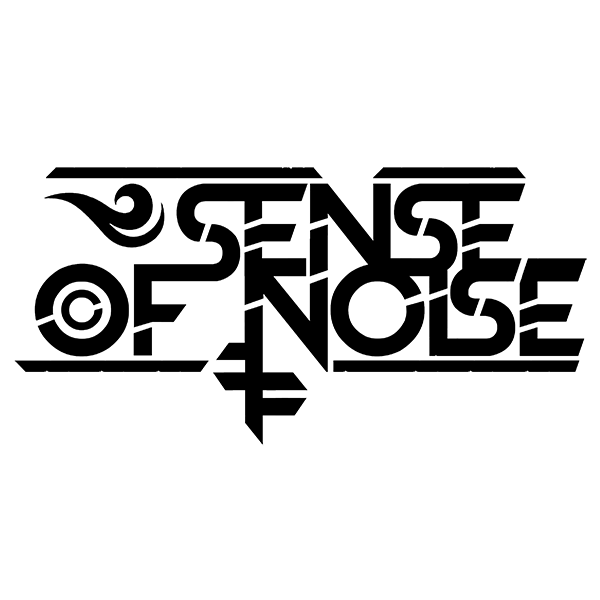 SENSE OF NOISE